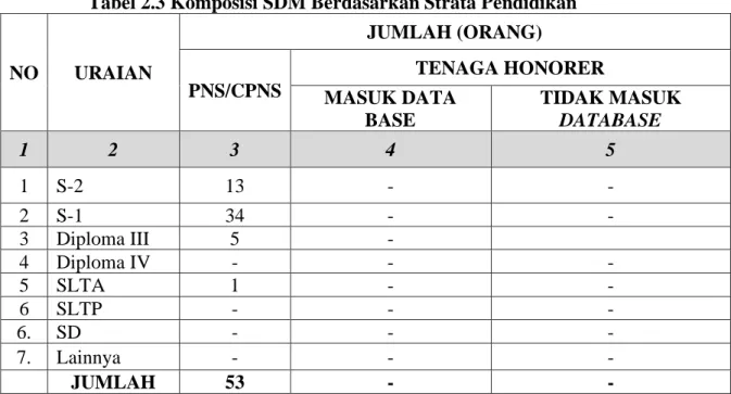 Tabel 2.3 Komposisi SDM Berdasarkan Strata Pendidikan 