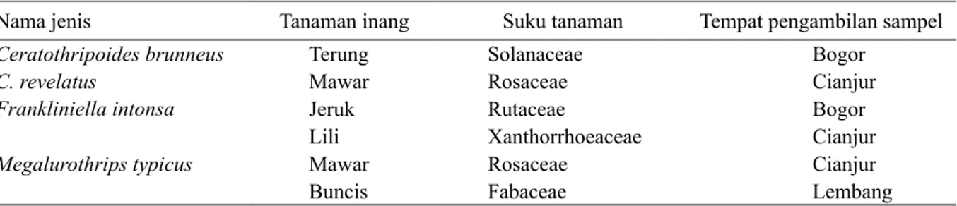 Tabel 2. Jenis trips yang berasosiasi dengan tanaman hortikultura  di sentra produksi Jawa Barat