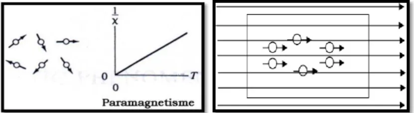 Gambar  2.6  Arah  domain  dan  kurva  bahan  paramagnetik  (a).  sebelum  diberi  medan  magnet  luar,  (b)