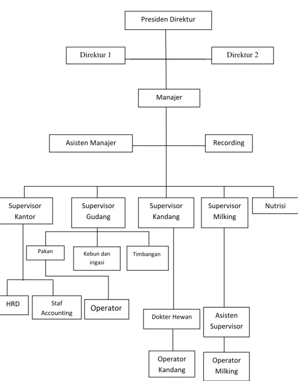 Gambar 2.1 Struktur Organisasi PT UPBS  Direktur 2 Presiden Direktur Recording  Nutrisi Supervisor Kantor HRD Pakan  Staf Accounting Direktur 1 Manajer Asisten Manajer Supervisor Kandang Supervisor Milking                Supervisor Gudang Operator Kandang 