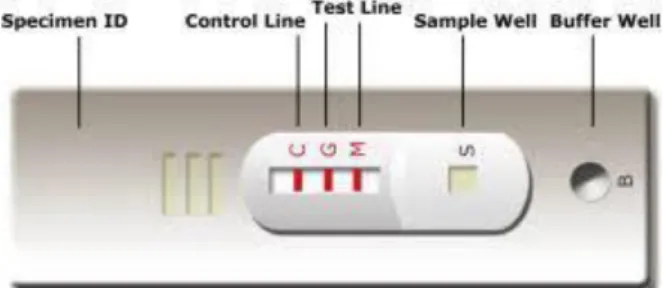 Gambar 1. Contoh hasil rapid test Leptospira IgM/IgG positif 