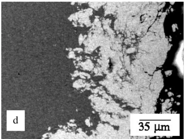 Gambar  4.  Mikrostruktur  penampang  dari  lapisan  permukaan sampel aluminium  yang di MA dengan  bubuk  besi  10  gram  selama;  (a)