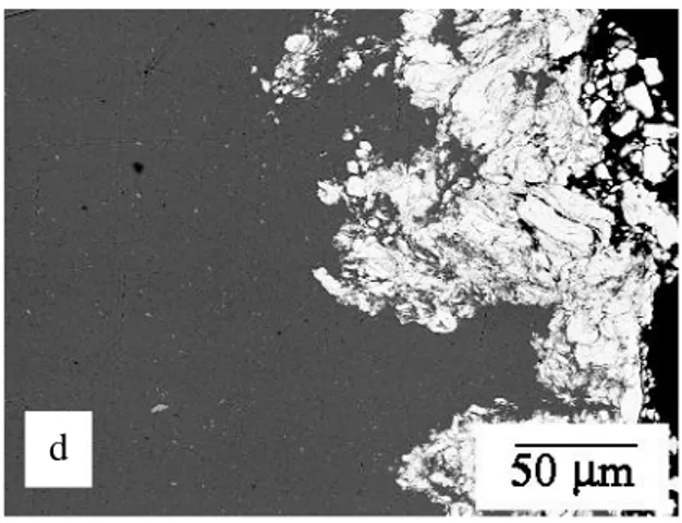 Gambar  5.  Mikrostruktur  penampang  dari  lapisan  permukaan  sampel aluminium  yang di MA dengan  bubuk besi 2 gram selama; (a)