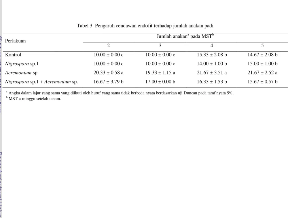 Tabel 3  Pengaruh cendawan endofit terhadap jumlah anakan padi 