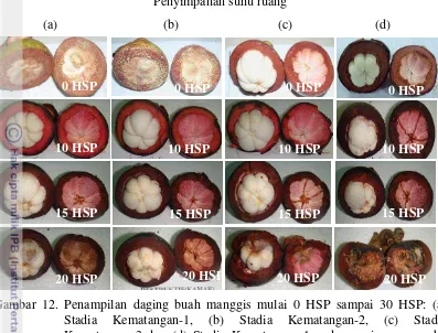 Gambar 12. Penampilan daging buah manggis mulai 0 HSP sampai 30 HSP: (a) 