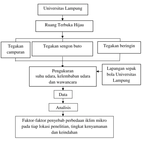 Gambar 1. Kerangka pemikiran kajian iklim mikro di bawah tegakan ruang terbuka hijau Universitas Lampung.