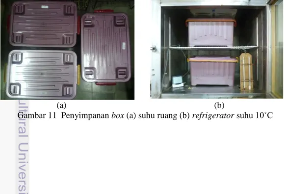 Gambar 11  Penyimpanan box (a) suhu ruang (b) refrigerator suhu 10˚C 