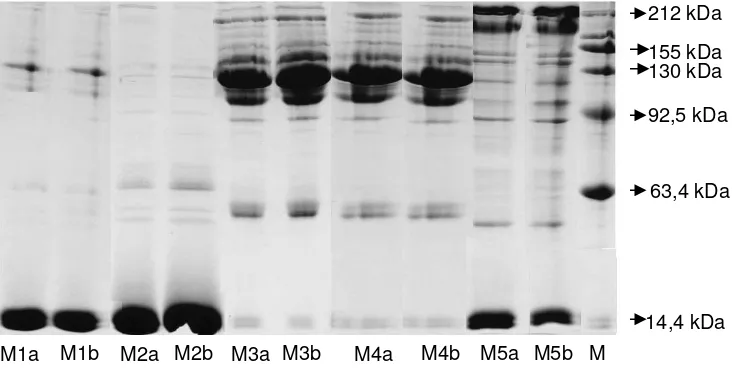 Figure 3. Protein expression in five species of microorganisms are grown on LB liquid medium with Cr(VI) 0 ppm and 10 ppm