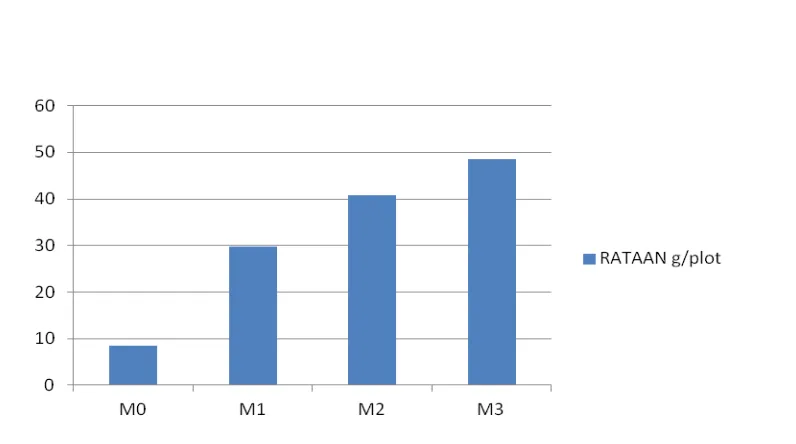 Gambar 8. Histogam rataan produksi kacang tanah (g/plot) pada perlakuan  mikoriza (M) 