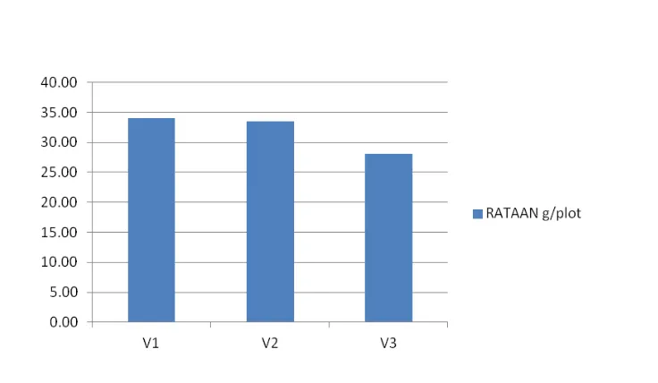 Gambar 9. Histogam rataan produksi kacang tanah (g/plot) pada varietas (V) 