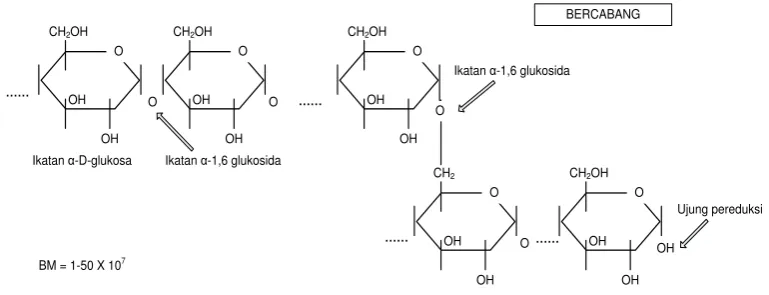 Gambar 2.  Rumus Struktur Amilopektin 