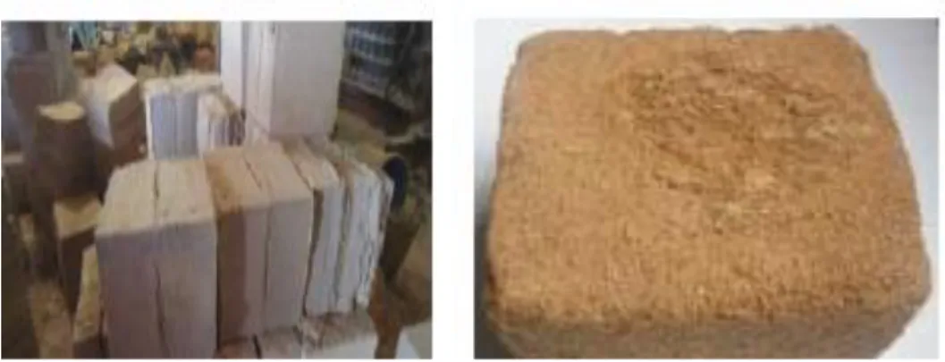 Gambar 2. Cocopeat brick (Nur, 2003). 