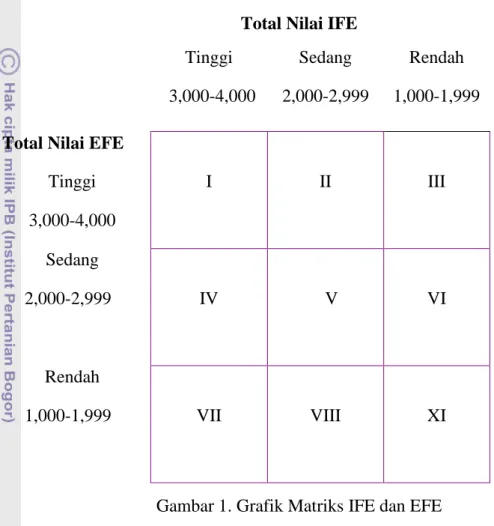 Gambar 1. Grafik Matriks IFE dan EFE 