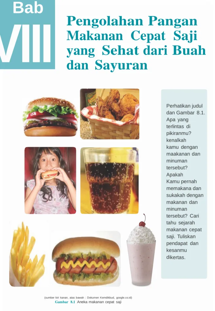 Gambar   8.1  Aneka makanan  cepat  saji 