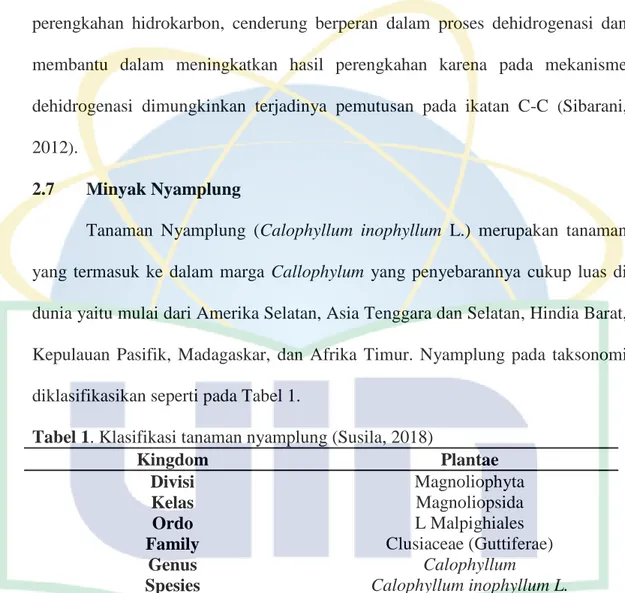 Tabel 1. Klasifikasi tanaman nyamplung (Susila, 2018) 