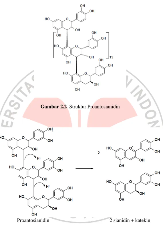 Gambar 2.2  Struktur Proantosianidin 