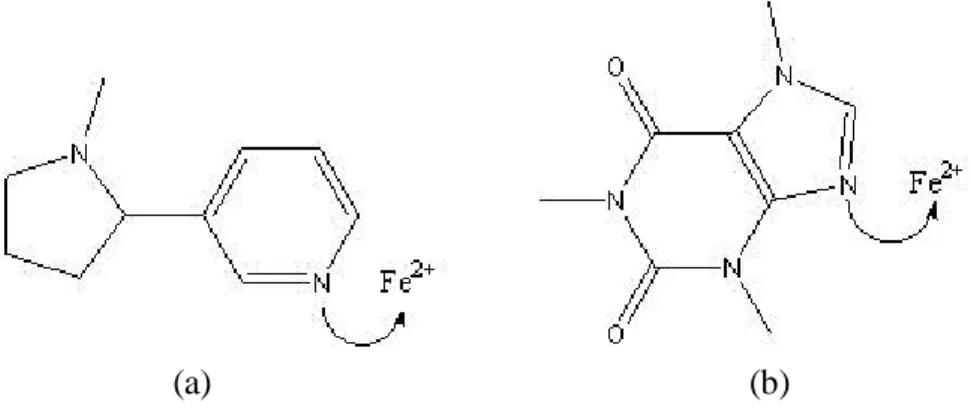 Gambar  2. Struktur  senyawa  (a) nikotin  (b) kafein   