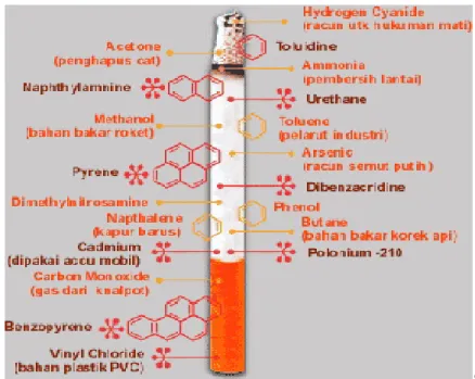 Gambar 2.1 Kandungan Kimia Asap Rokok (Latukonsina, 2010) 