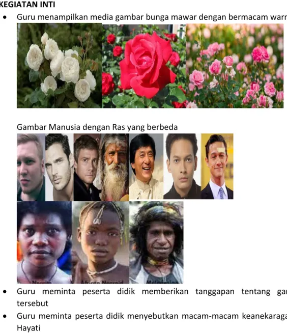 Gambar Manusia dengan Ras yang berbeda 