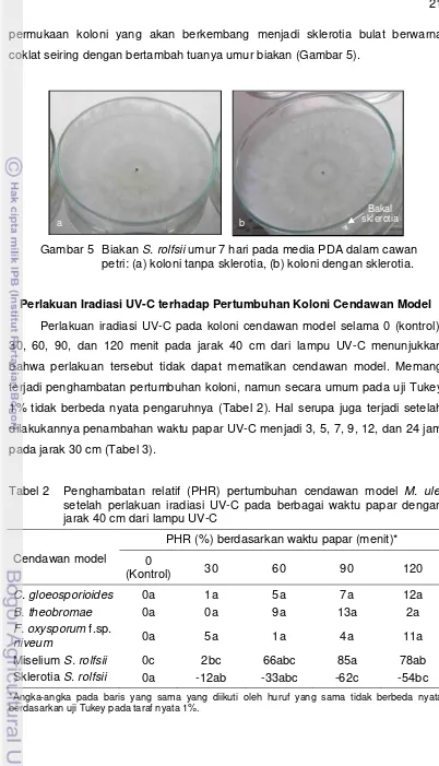 Tabel 2   Penghambatan relatif (PHR) pertumbuhan cendawan model M. ulei 