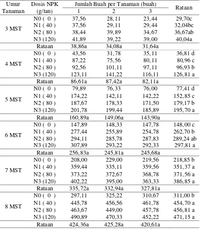 Tabel 1. Panjang tanaman (cm) pada masing-masing dosis pupuk NPK dan jumlah buah per tanaman pada umur 3 – 8 MST 