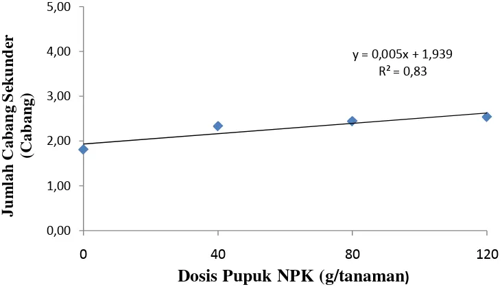 Gambar 3. Hubungan jumlah cabang sekunder semangka dengan dosis pupuk NPK 