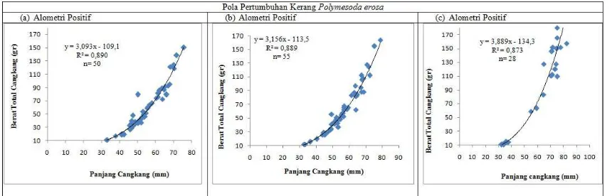 Gambar 3. Grafik pola pertumbuhan kerang Polymeso erosa. (a) kerang P.erosa Jantan. (b) 