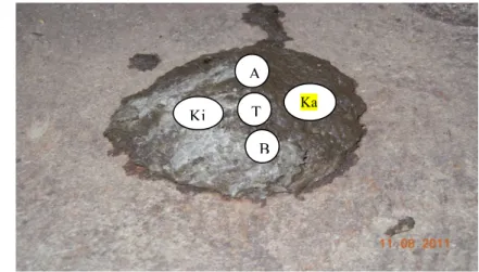 Gambar 7 Titik pengambilan sampel pada feses kerbau. Ada lima titik yang  diambil sampel yaitu atas (A), bawah (B), tengah (T), kanan (Ka)  dan kiri (Ki) (Sumber: Pribadi).