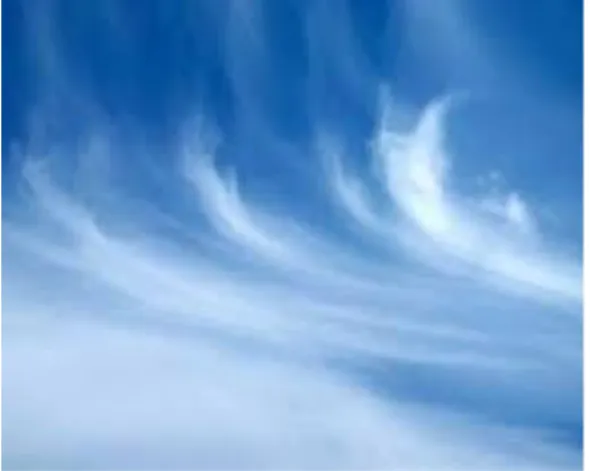 Gambar 1. Awan Cirrus. ( Ci ) 