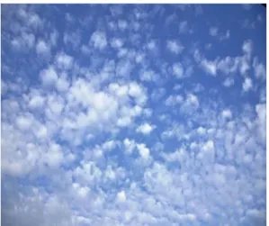 Gambar 4. Awan Altocumulus. ( A cu ) 
