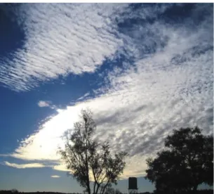 Gambar 6. Awan Strato Cumulus ( St Cu ) 