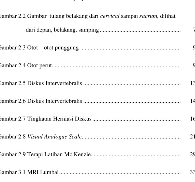 Gambar 2.1  Herniated nucleus pulposus .......................................................