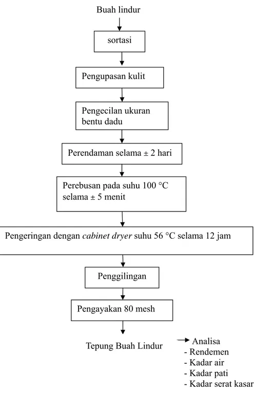 Gambar 2. Diagram Alir Pembuatan Tepung Buah Lindur 