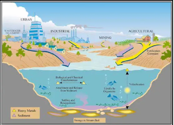 Gambar 1.3 Ilustrasi Pencemaran pada lingkungan Abiotik dan Biotik Sumber: https://www.usgs.gov/