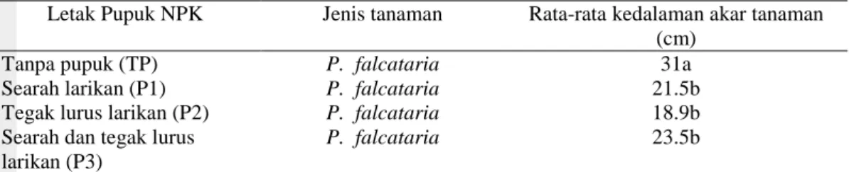 Tabel  4  Hasil  uji  Duncan  pengaruh  letak  pemberian  pupuk  NPK  terhadap  kedalaman akar tanaman sengon 