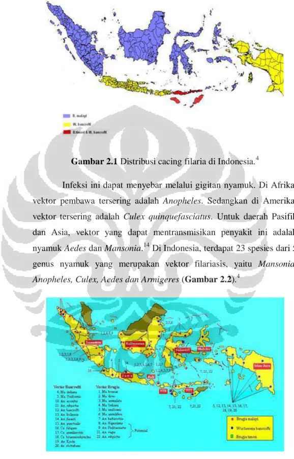 Gambar 2.1 Distribusi cacing filaria di Indonesia. 4