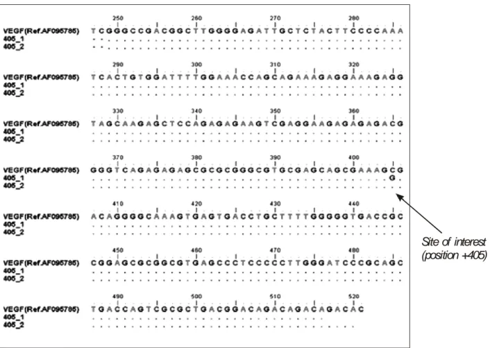 Gambar 7.  Titik mutasi gen +405C&gt;G.
