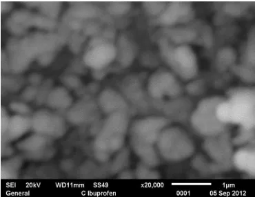 Gambar 4.2 Hasil SEM ibuprofen nanopartikel 