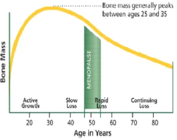 Gambar  ini  menunjukan  bahwa  terjadi  percepatan  pertumbuhan  tulang  ,  yang  mencapai  massa  puncak  tulang  pada  usia  berkisar  20  –  30  tahun,  kemudian  terjadi 