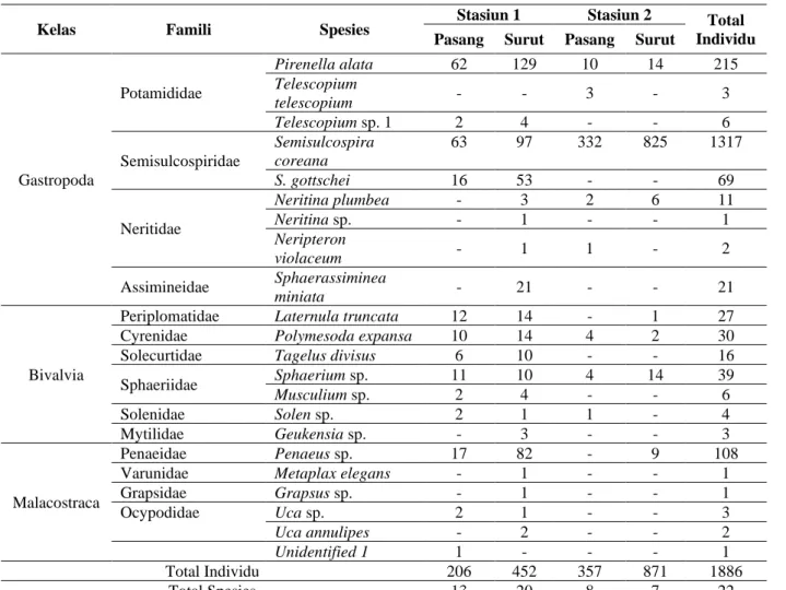Tabel 2. Keanekaragaman makroinvertebrata di ekosistem mangrove Dusun Lempong Pucung 