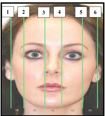 Gambar 3. Pembagian wajah secara   vertikal7  1. Postaurale kanan;  