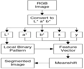 Figure 2. Meanshift image segmentation process 