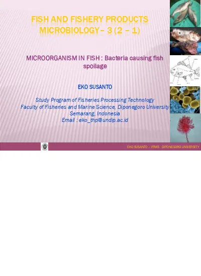 fish and fishery products microbiology bacteria causing fish spoilage