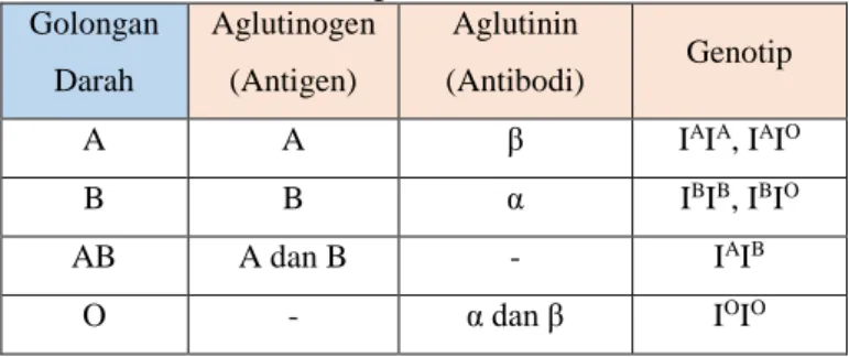 Tabel 1. Golongan darah sistem ABO  Golongan  Darah  Aglutinogen (Antigen)  Aglutinin  (Antibodi)  Genotip  A  A  β  I A I A , I A I O B  B  α  I B I B , I B I O AB  A dan B  -  I A I B O  -  α dan β  I O I O b