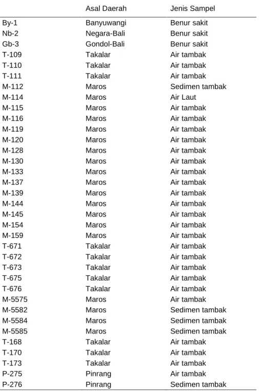 Tabel 1 Isolat-isolat bakteri hasil koleksi. 