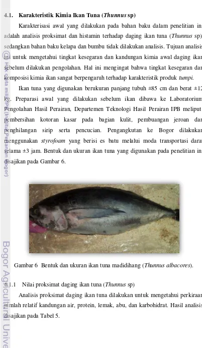 Gambar 6  Bentuk dan ukuran ikan tuna madidihang (Thunnus albacores). 