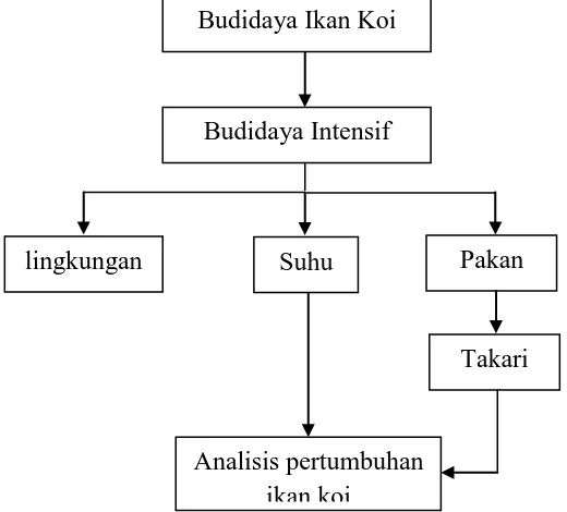 Gambar 1. Kerangka Pemikiran Penelitian 