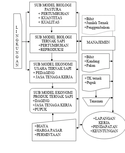 Gambar 6. Model Bioekonomi Ternak Sapi (Denham and Spreen, 1986) 