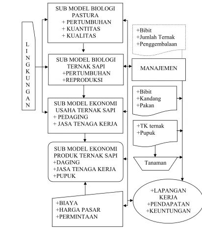 Gambar 6. Model Bioekonomi Ternak Sapi (Denham and Spreen, 1986) 