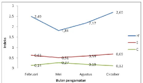 Gambar 12. Indeks H’, E dan C berdasarkan bulan 